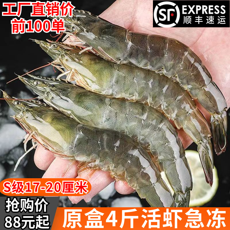 新鲜大虾鲜活超大基围虾青岛海虾冷冻青虾对虾海鲜水产2030盐冻虾