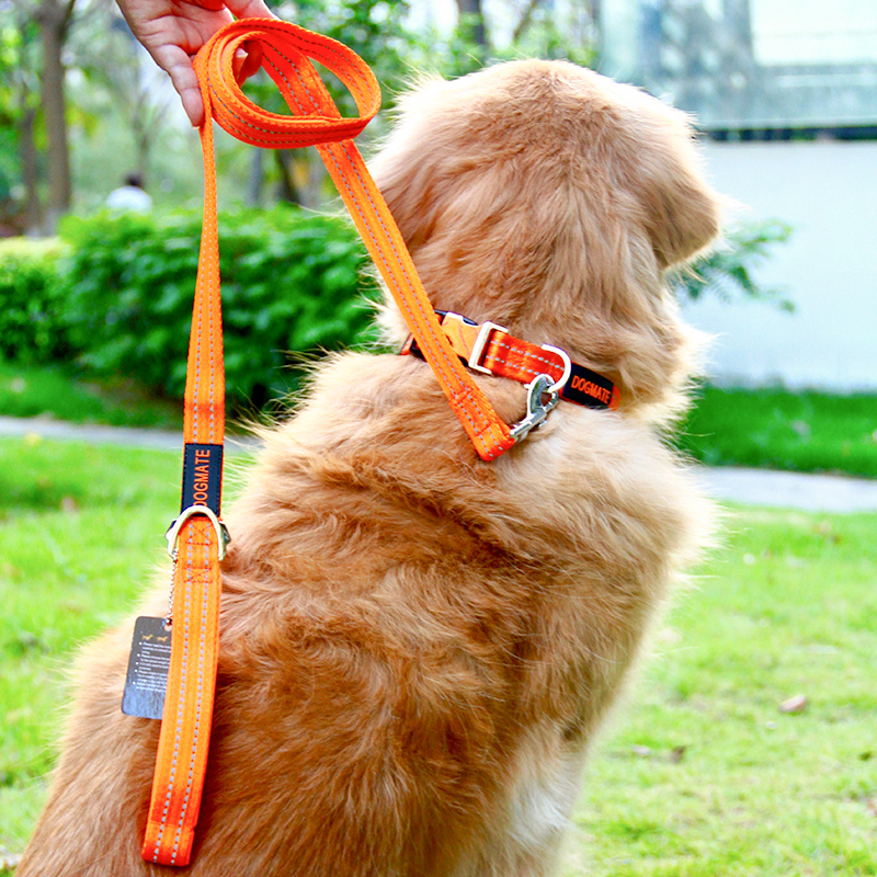 尼龙反光高亮狗项圈金毛犬链子