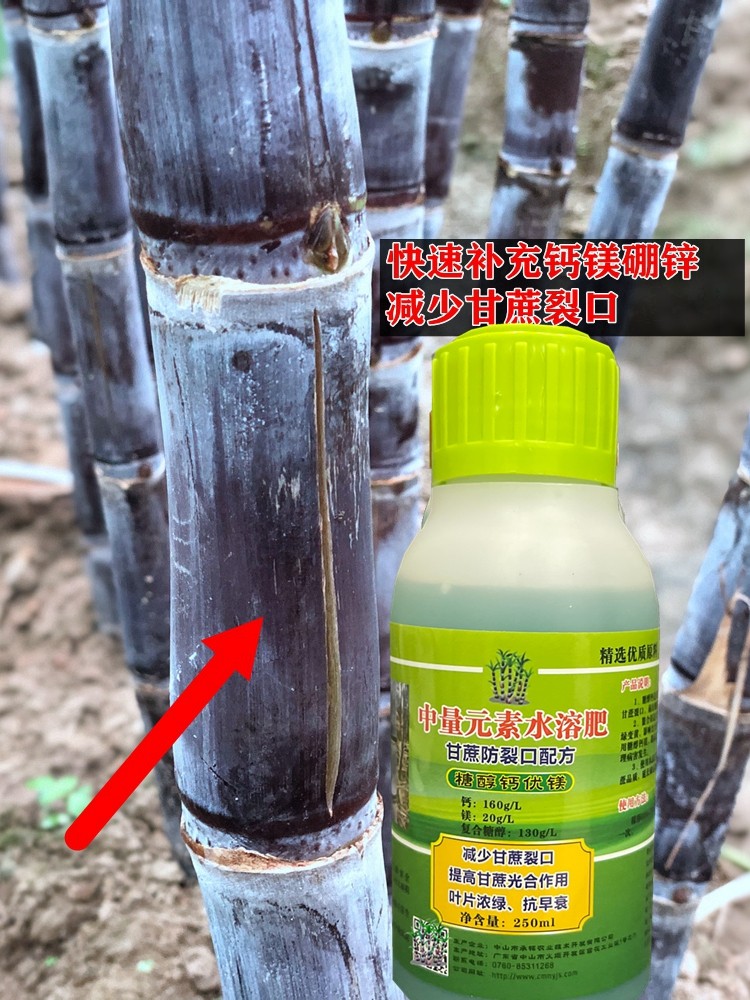 甘蔗防裂扣甘蔗减少开裂