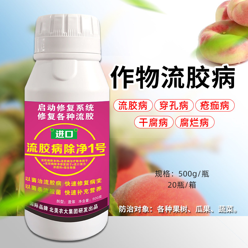 进口流胶病除净1号杀菌剂 樱桃树果树柑橘柚子树黄瓜流胶病专用药