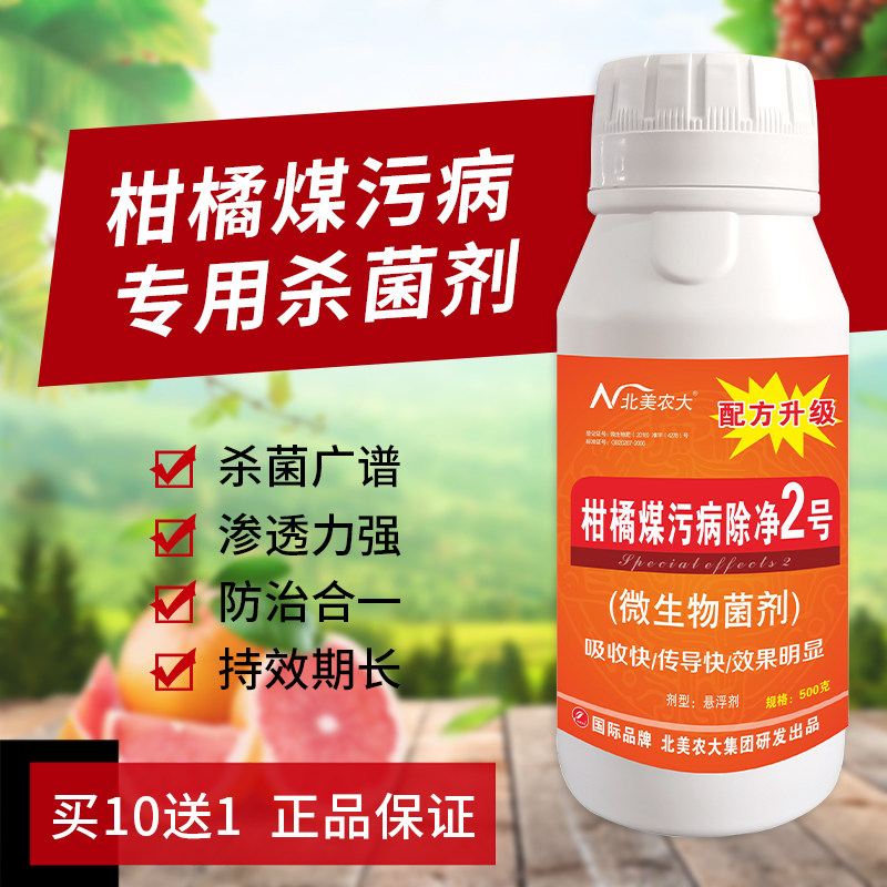 柑橘煤污病除净2号杀菌剂 柑橘煤污病专用药砂糖橘果树煤烟病药剂