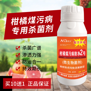 柑橘煤污病除净2号杀菌剂 柑橘煤污病专用药砂糖橘果树煤烟病药剂
