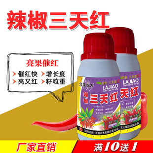 辣椒三天红叶面肥辣椒专用催红素催红剂着色剂微量元素辣椒催熟剂
