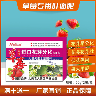 草莓专用花芽分化素增多催花保花保果膨大增甜细胞分裂素叶面肥