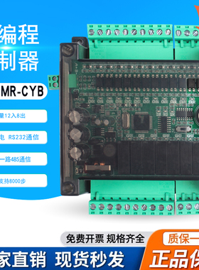 国产PLC控制器工控板可编程控制器FX2N-20MR/时钟/模拟量/pt1000