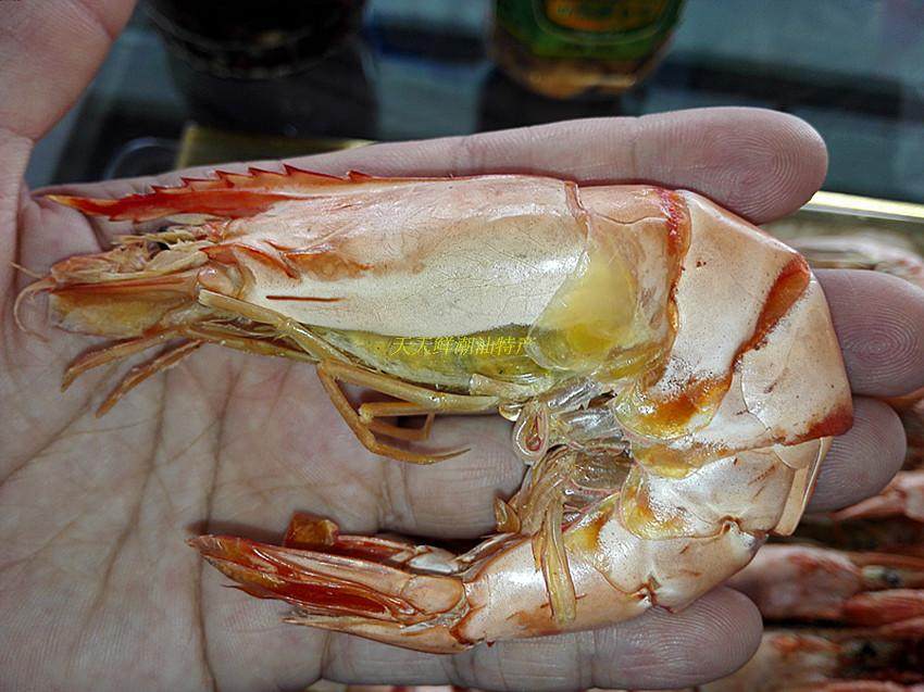 Nine shrimp South Australia specialty wild Large Nine shrimp dried food Shrimp precooked and ready to be eaten Seafood dried food 500gin the Aquatic meat/Fresh fruits and vegetables/Cooked , Seafood/Aquatic/Product , Shrimp , Shrimp Products  category - from Buy2taobao.com to provide professional Taobao agent buy service