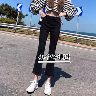 145小个子七分弹力韩系ins感裤 女高腰显瘦春季 子 牛仔裤 黑色微喇裤