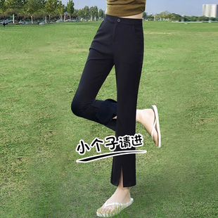 145小個子微喇叭休閑褲 八分顯高彈力高腰前開叉西裝 褲 150 女夏薄款