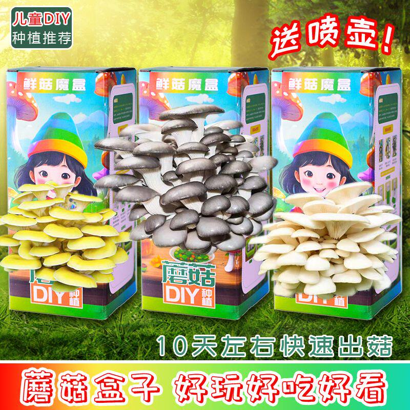 六一节大中班小朋友毕业蘑菇盆栽