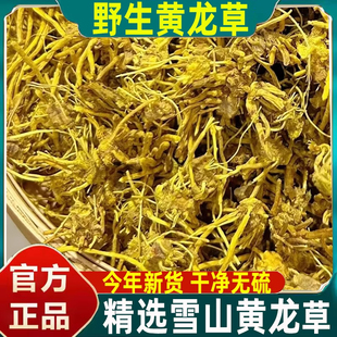 正宗特级青藏高原雪山黄龙草根头含须条野生根茎龙须草根茶中药材
