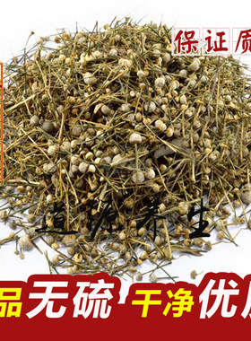 谷精草 中药材 野生新货供应市场 谷精子 流星草 珍珠草 500g包邮