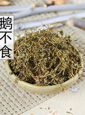 野生 鹅不食草 正品鹅不食草粉 饿不吃草 中药材批 500克13包邮