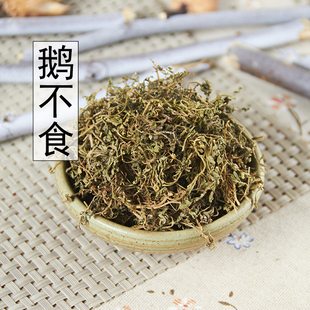 野生 鹅不食草 正品鹅不食草粉 饿不吃草 中药材批 500克13包邮