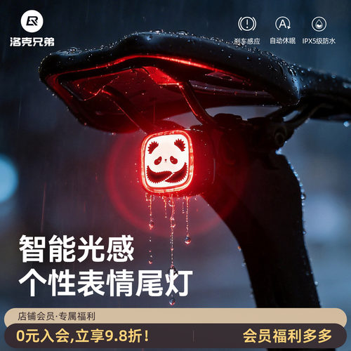 洛克兄弟智能感应表情自行车尾灯