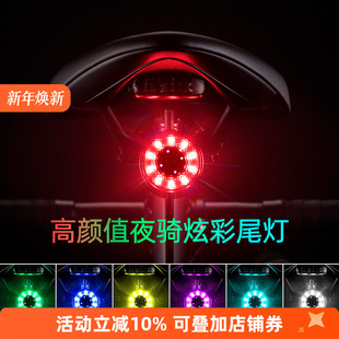 洛克兄弟自行车尾灯USB充电骑行安全夜骑警示公路山地车尾灯配件