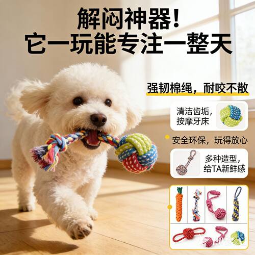 狗狗玩具磨牙耐咬绳结拖鞋小中大型犬泰迪金毛比熊解闷宠物用品