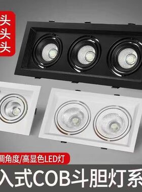 LED格栅灯双头三头方形筒灯10*20cm嵌入式商用网格斗胆灯cob射灯