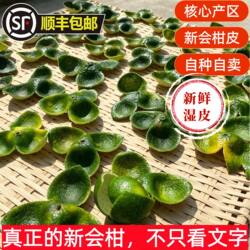 新会柑鲜果湿皮茶枝柑新鲜水果新会陈皮干果青柑二大红柑顺丰包邮
