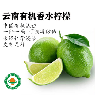 云南红河有机香水柠檬无籽树上自然熟新鲜现摘无农药不打蜡维C