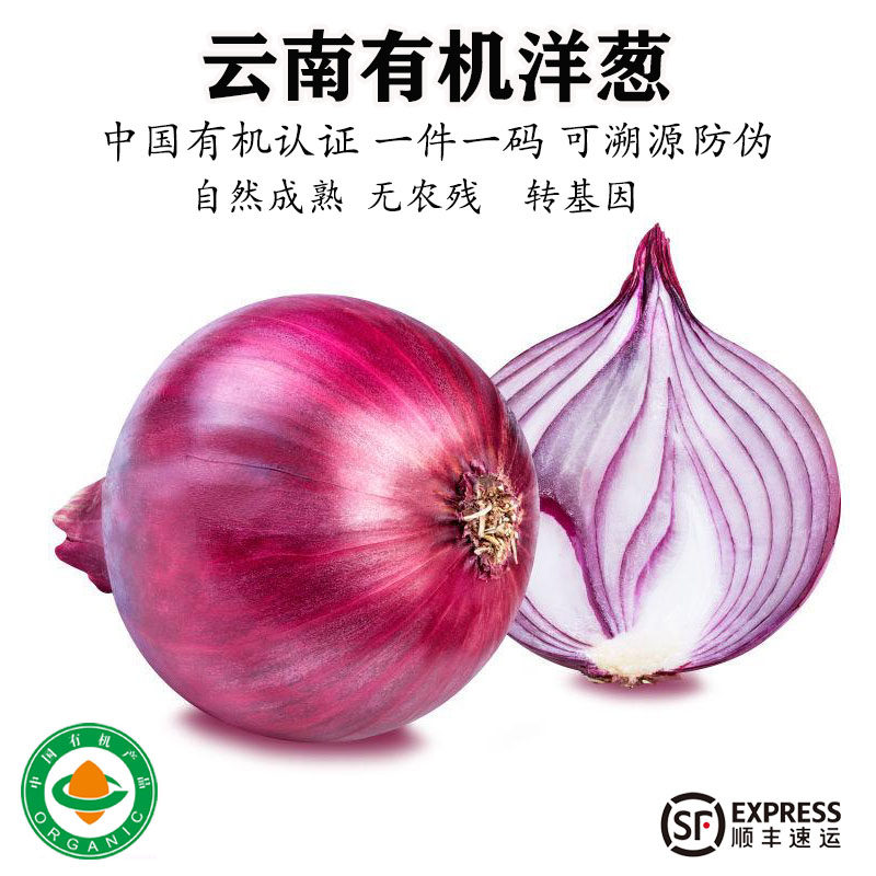 云南有机洋葱自然熟露天种植新鲜采挖清脆爽口蔬菜非转基因