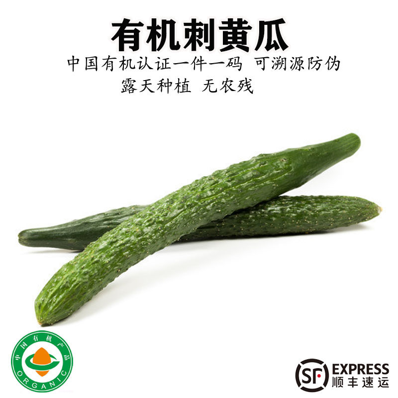 有机刺黄瓜新鲜蔬菜嫩水果青瓜蘸酱生吃沙拉凉拌鲜嫩脆爽