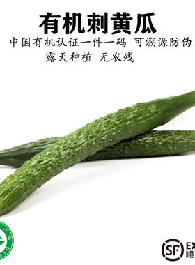 有机刺黄瓜新鲜蔬菜嫩水果青瓜蘸酱生吃沙拉凉拌鲜嫩脆爽