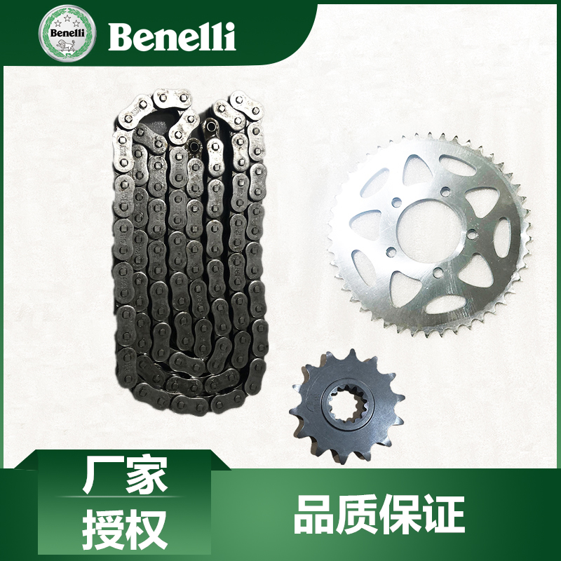 贝纳利原厂配件黄龙BJ600GS/-A/BN600i/TNT600套链油封链条链轮