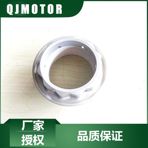 钱江QJ摩托车原厂配件赛921后轮右螺母QJ900GS-8D后轮右侧螺母