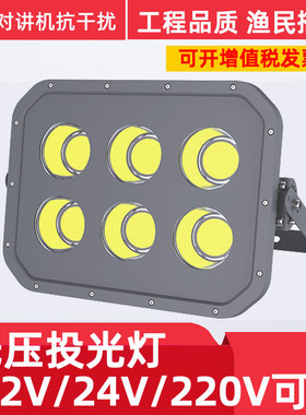 led投光灯低压直流船用电瓶12V24V220V50W100W防水射灯户外泛光灯