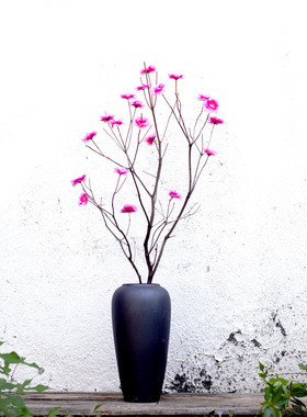 原木干树枝树枝腊梅桃花枯枝干树枝软装橱窗花艺造景环保健康