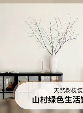 干枝装饰禅意艺术装饰树枝枯枝插花干树枝分杈软件家居摆件干支