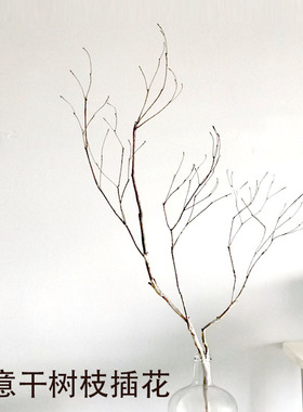 天然干树枝装饰干树枝原木diy禅意枯枝摆件干枝造景插花客厅饰品