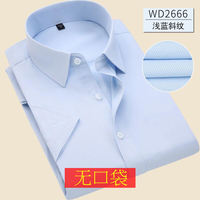 Summer thin white shirt, men's short-sleeved business and professional work clothes, blue shirt, men's half-sleeved one-inch work clothes thumbnail 4