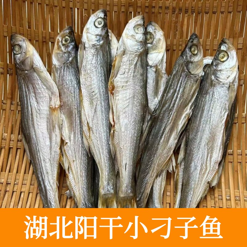 风干小刁子鱼阳干小翘嘴鱼