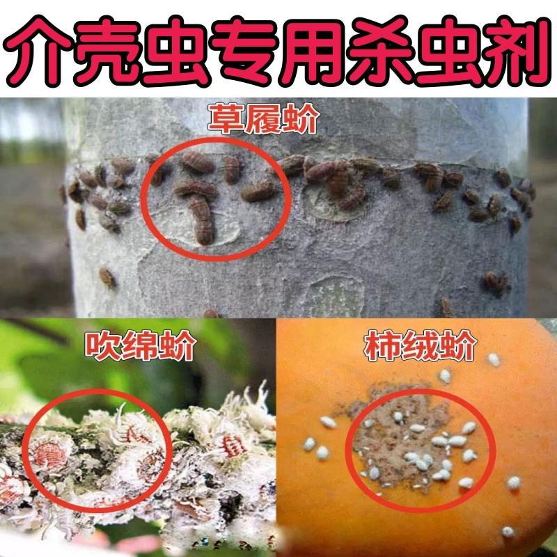 高氯啶虫脒蜡介粉介速溶高渗透