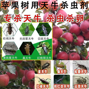 苹果树用天牛杀虫剂速溶高渗透皮杀虫杀卵树洞虫木洞农药杀虫大全