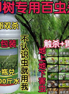 高效氯氟菊酯大青虫美国白蛾