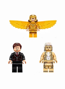 乐高LEGO 超级英雄76157 DC人仔 神奇女侠 豹女 勋爵