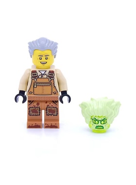 LEGO乐高 幽灵秘境系列 70420人仔 hs006布兰森先生