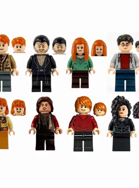 乐高LEGO 哈利波特75980人仔hp209 210 211 212 213 214 218 219