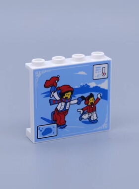 乐高LEGO 白色4215 35323 60581 87543 6372570 1x4x3滑雪印刷件
