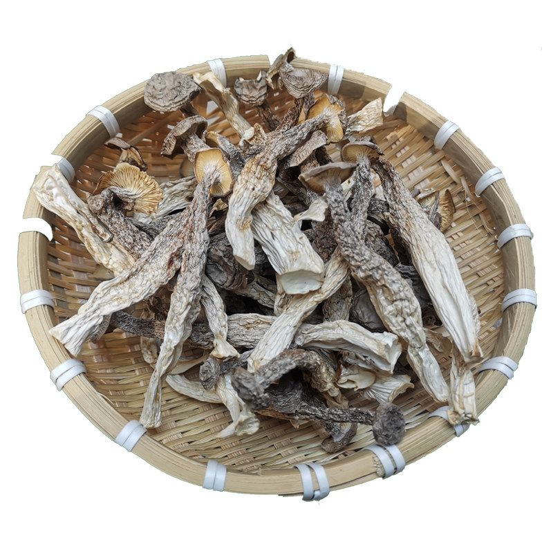 新货煲汤蘑菇食用菌鹿茸菇蘑菇干货500g特产鲜嫩食材香菇类