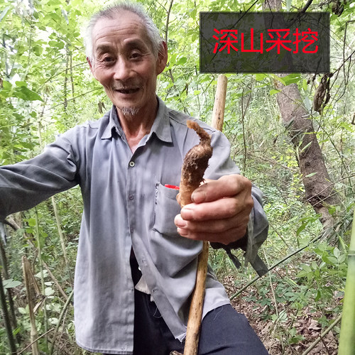 神农架深山特级野外生无硫天麻