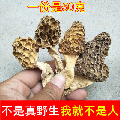 深山特级野生野生羊肚菌干货500g