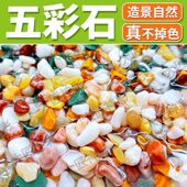 天然五彩花石水族鱼缸造景石头底砂水培多肉花盆铺面园艺铺路装 饰