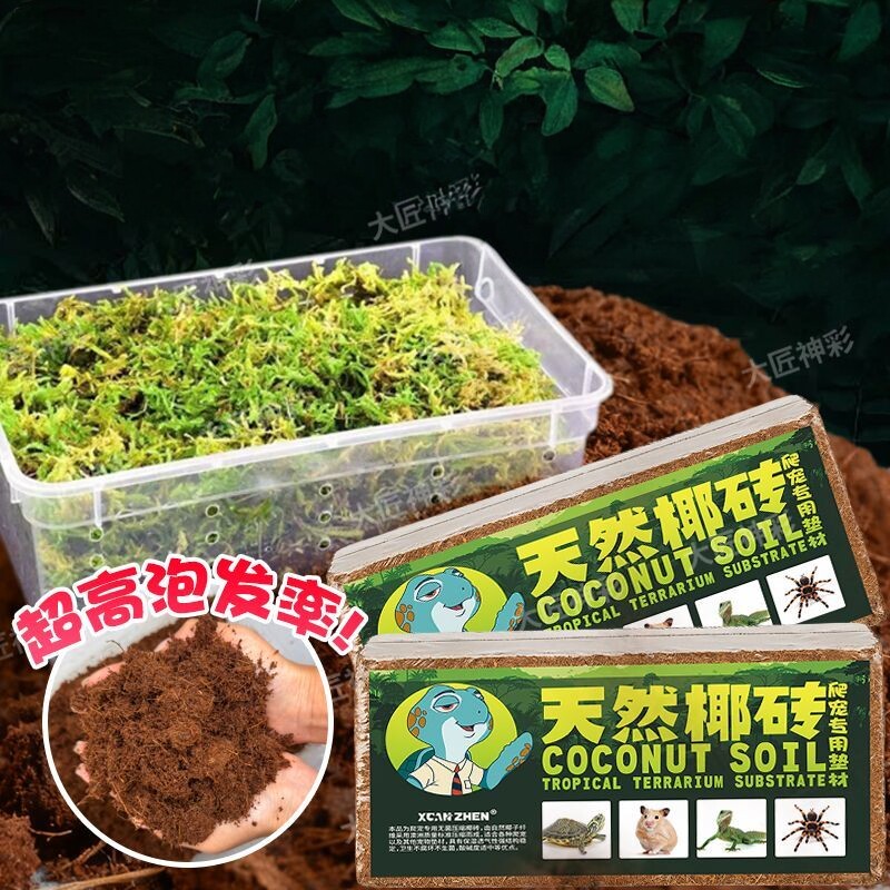 乌龟冬眠土椰砖蜗牛蜘蛛蝎子角蛙造景/装饰