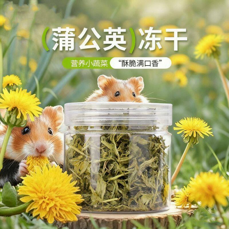 仓鼠零食小宠磨牙荷叶菊花丝冻干蒲公英金丝熊花枝鼠龙猫泡水神器