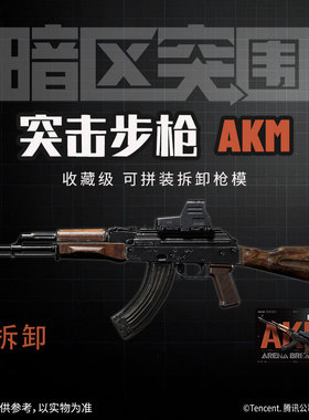 暗区突围游戏同款拼装模型枪玩具突击步枪AKM/AK47官方正版周边