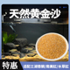 黄金沙南美三湖鼠鱼底沙鱼缸草缸水陆造景化妆沙天然细河沙水草砂