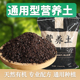 通用型营养土种菜养花专用肥料多肉绿萝土壤种植土蔬菜盆栽有机肥